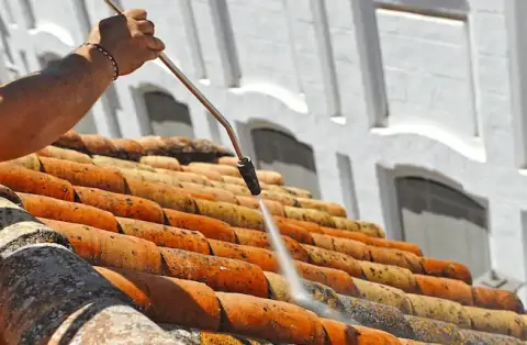 Nettoyage de toitures - Torcieu